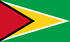 Bandeira Guiana, Jornais Guianês