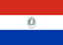 Bandeira do Paraguai, Jornais Paraguaios