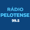 Rádios de Pelotas AM e FM, Ouvir Rádios AM e FM de Pelotas RS, Escutar ...